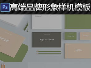 商務(wù)視覺的硬核升級 高端品牌VI模板的設(shè)計價值提煉與決策參考
